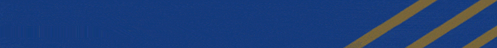 Banner Ad